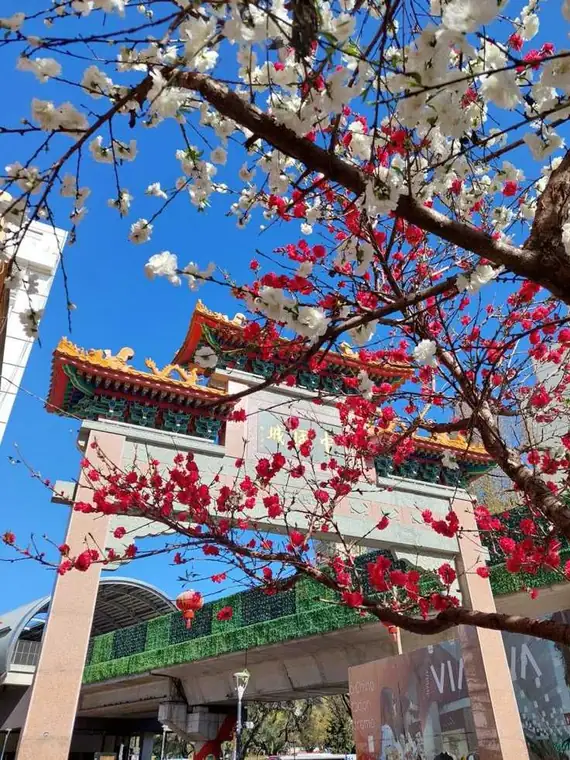 El portal mágico: descubriendo el colorido Arco del Barrio Chino